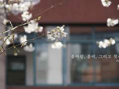 봄바람, 봄비 그리고 첫사랑