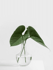 [동웅] 생과 사 그 어딘가의 경계