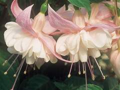 루나미미아리 분위기 명언