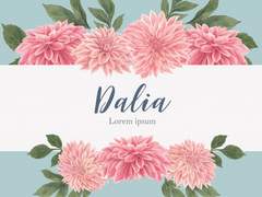 𝐃𝐚𝐡𝐥𝐢𝐚