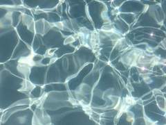 [명결회상] 피의 상생