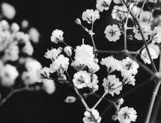 [옷토게] 이울다 6 完