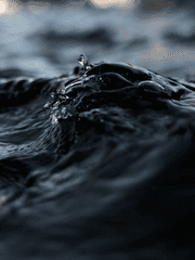 Blake Jade Francesca