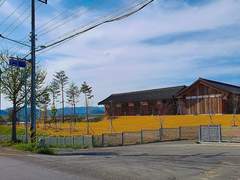 꽃의 죽음 外. IF 이나리자키 - 쌍둥이 편