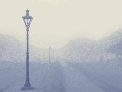 [ 독고 현 / 57 / XX / 생태세밀화가 ]