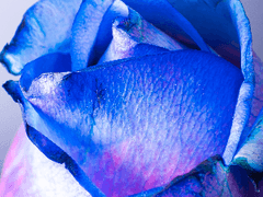 [지주선율] <주의: 이 글은 로맨스 판타지가 아닙니다.> 2