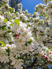 내가 좋아하는 마도조사 2차창작