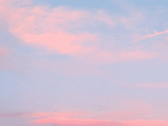 주원동식 | 스토커 > 파트너 > ?