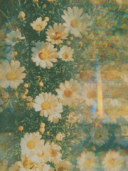 돌판 그룹별 리뷰