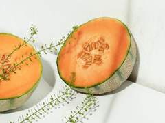 저, 사니와 맞습니다 : Ep. 5(4)