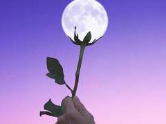 언제부터 좋아했냐구?