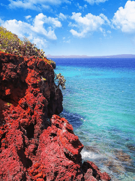 테오도르 이클립스의_