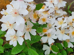 [심구른] 심구회귀물 썰 -1