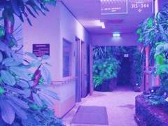 전대미문의 파티 속으로!