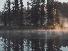 아무것도 아닌,