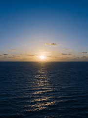 復生欲誕君子兒