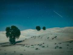 미지의 평원과 우주