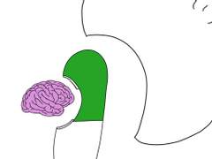 나를 먹는 너를 먹는 나
