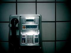 전갈은 오리온을 놓치지 않았다