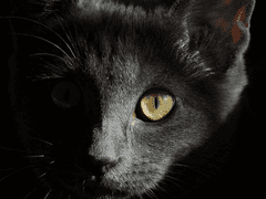 하등 쓸모없는 애정에