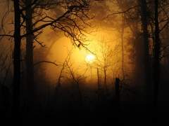 [외전] 언제쯤이면 이 폭우가 그칠까요?