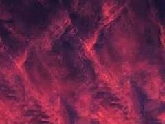 Haley R. Scarlet, XY.