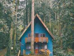 [잼숕] 어서 오세요. 숲속 사진관에.