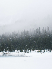 SERAC : 얼음의 끝자락에서