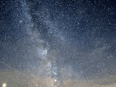 베루스 B. 아리아드네 / Verus B. Ariadne