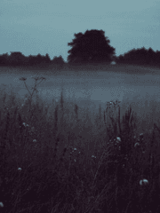 IVXX . Deep Dark Wide