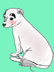 그녀와 꽃개 사이