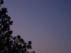 루시 해피밀라 :: Luci . I . Happymila