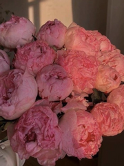 아이돌 콘텐츠 리뷰