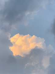 / 이분의 일(1/2)