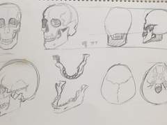 5월 2주차 데일리 드로잉