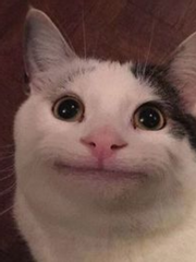 【연성】 체리마호