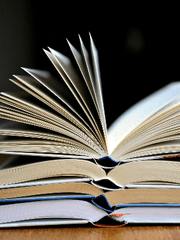 강철의 연금술사 설정북