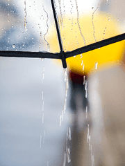 셜록존 글 모음