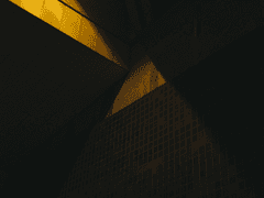 [코델녹스] 새장 속에서 악몽을 꾸었다.