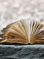 코스모스 신문사