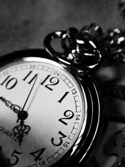 룬의 아이들 전력