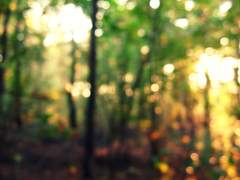 월하정인(月下情人) 14