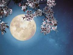 [국뷔] 문득, 밤하늘 달빛을 우러르며 - 下(2/2)