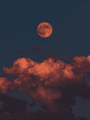 연모의 마음은 거짓이었나