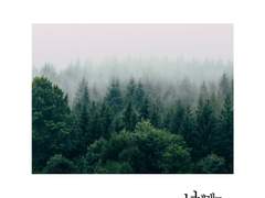 [ 하월시목 ] 너를 사랑한게 죄라면 죄일까?