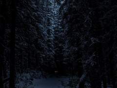 [베니스] 놓지 못하는 것