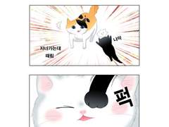 갓구운 고양이 -02