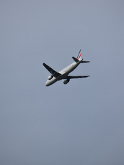 갱생하지 못해 죄송합니다 (가제)