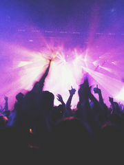 블랙자칼, 애들러스 관찰 일지