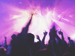 [하이큐]블랙자칼, 애들러스 관찰 일지 <제 4편>